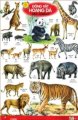 Poster - Động vật hoang dã