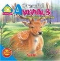 Graceful Animals - Những động vật dịu dàng