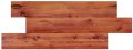 Sàn gỗ ROBINA C21 dày 8mm