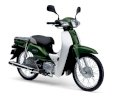 Honda Super Cub 50 2013 ( Xanh lá )