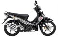 Honda Supra X125 CW 2012 ( Đen Trắng )