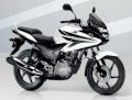 Honda CBF125 2012 (Màu Trắng)