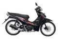 Honda Absolute Revo SW 2012 ( Màu đen )