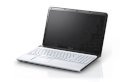 Sony Vaio SVE-15126CN/W (Intel Core i3-3110M 2.40GHz, 4GB RAM, 500GB HDD, VGA ATI AMD Radeon HD 7650M, 15.5 inch, Windows 8 64 bit)