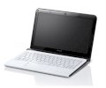 Sony Vaio SVE-11125CN/W (AMD E2-Series E2-1800 1.7GHz, 2GB RAM, 320GB HDD, VGA ATI Radeon HD 7340, 11.6 inch, Windows 8 64 bit)