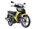 TVS Tormax 150cc