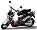  Honda Zoomer-X 110 2012 (Trắng Đen)