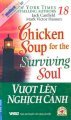 Chicken Soup For The Surviving Soul -Vượt Lên Nghịch Cảnh - Tập 18
