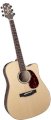 Guitar Takamine EG350SC