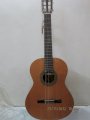 Guitar Paco Castillo GY-2