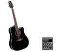 Takamine EG341C