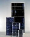 Pin năng lượng mặt trời CTC 100Wp