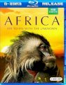 BBC Africa 2013 (6 tập sub Việt + English)