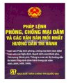 Pháp lệnh phòng, chống mại dâm và các văn bản mới nhất hướng dẫn thi hành