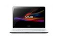 Sony Vaio Fit SVF-1421ESG/W (Intel Pentium B987 1.5GHz, 2GB RAM, 500GB HDD, VGA Intel HD Graphics, 14 inch, Windows 8 64 bit)