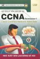 Giáo trình hệ thống mạng máy tính CCNA Semester 1