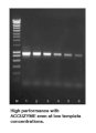 ACCUZYME™ DNA Polymerase Bioline