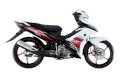 Yamaha 135LC 2013 (Trắng đen)