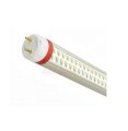 Đèn LED tube Điện Quang LEDTU01 0.6m 9W