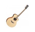 Guitar Acoustic APX500II Natural