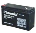 Ắc quy Phoenix TS6120 (6V-12Ah)