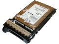 DELL 300GB SAS 10K RPM 6Gbps 2.5inch Part: 745GC
