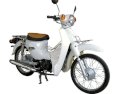 Xe máy DaeHan Little Cub 50cc 2013