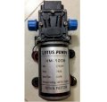 Bơm áp lực Lotus Pumps HM-1208