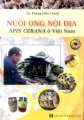 Nuôi ong nội địa Apis cerana ở Việt Nam