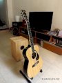 Guitar Acoustic Yamaha FG-202