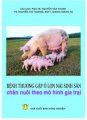 Bệnh thường gặp ở lợn nái sinh sản chăn nuôi theo mô hình gia trại