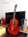 Guitar Classic Abegut 65C