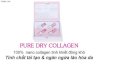 Tinh chất tái tạo và chống lão hóa (Pure Dry Collagen)