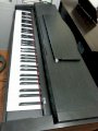 Piano điện Roland HP900L