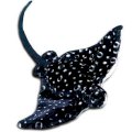 Wild Republic AQ Spotted Eagle Ray 10" Plush