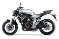 Yamaha FZ-07 2015 (Trắng)