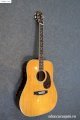 Guitar Acoustic Blue bell W-250