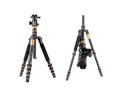 Chân máy ảnh (Tripod) Beike QZ668