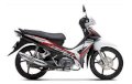 Honda Blade 110 2014 Phanh đĩa Việt Nam (Đen Trắng) 