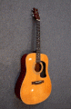 Guitar Acoustic WASHBURN D-10N