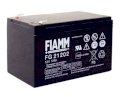 Ắc quy FIAMM FG10301