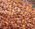 Roasted Salted Almonds 10 Lb Bulk Bag