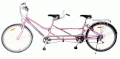 Xe đạp thể thao - Xe đạp đôi Asama AMT-49