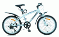 Xe đạp thể thao Asama MTB 2001