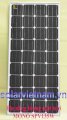 Pin năng lượng mặt trời Mono SPV135M