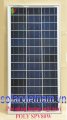 Pin năng lượng mặt trời Poly SPV80P