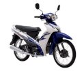 SYM Elegant 110 2014 Việt Nam (Màu Xanh Trắng)