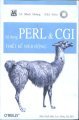 Sử dụng PERL và CGL thiết kế web động