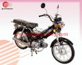 Charming CM50Q-2 48cc 2015