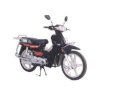 Xfmotor XF110-3 2015